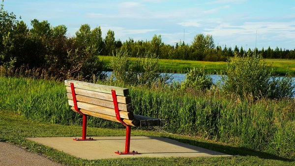 Les Meilleurs Livres Essentiels pour Optimiser le Sommeil des Personnes Âgées